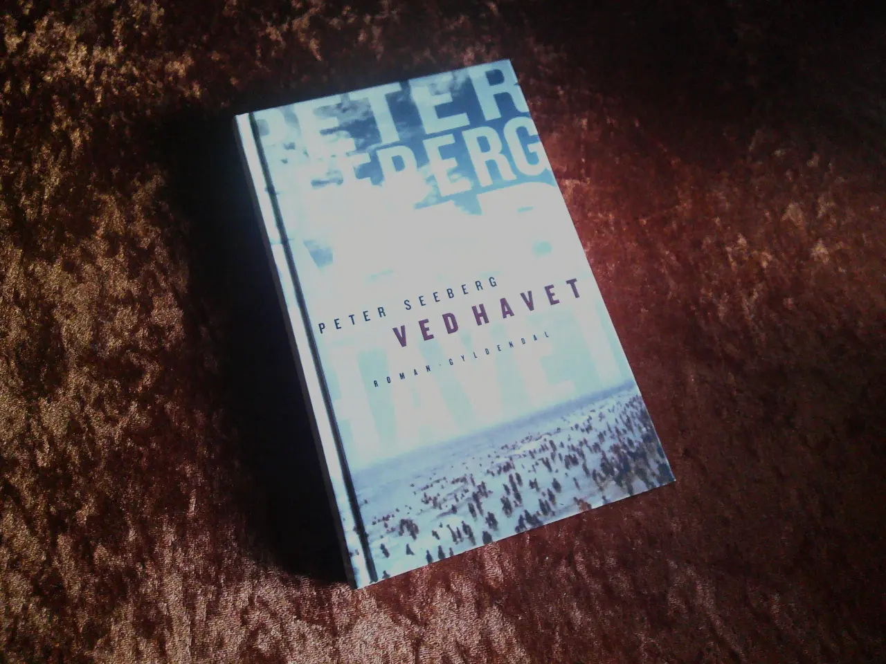 Billede 1 - Ved havet, Peter Seeberg
