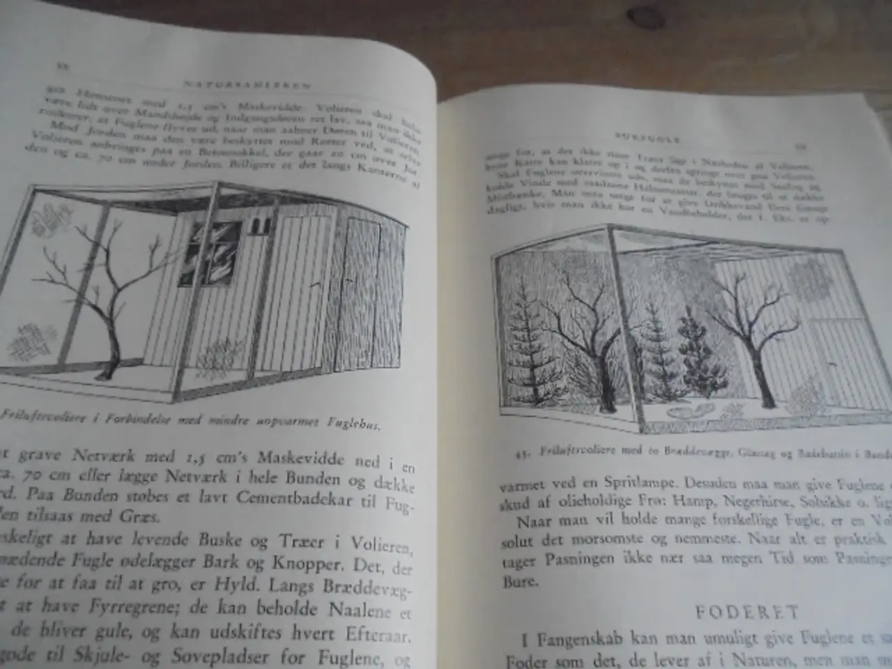 Billede 9 - Natursamleren – Hans Hvass – udg. fra 1942