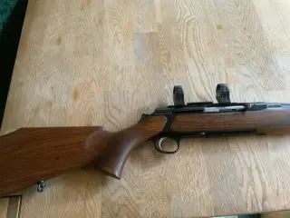 Sauer 303 kaliber 30-06