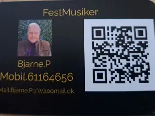 Fest Musiker