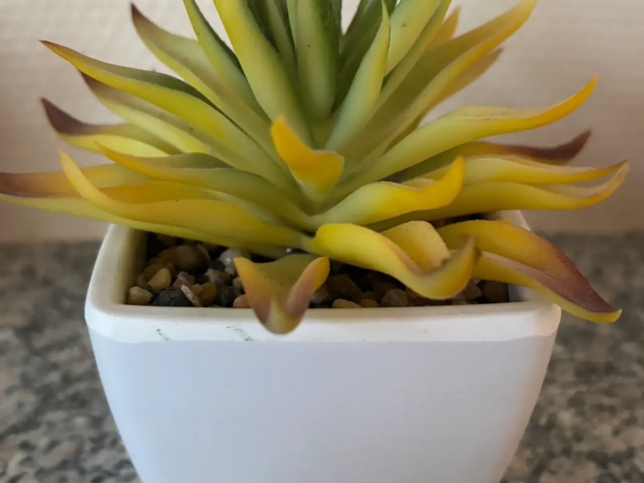 Billede 16 - 4 små plastik planter 