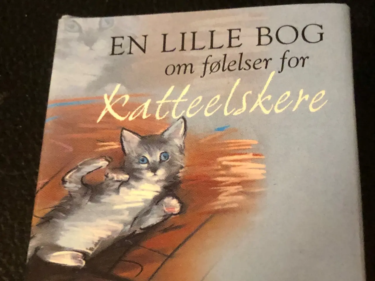 Billede 1 - Bog: En lille bog om følelser for katteelskere