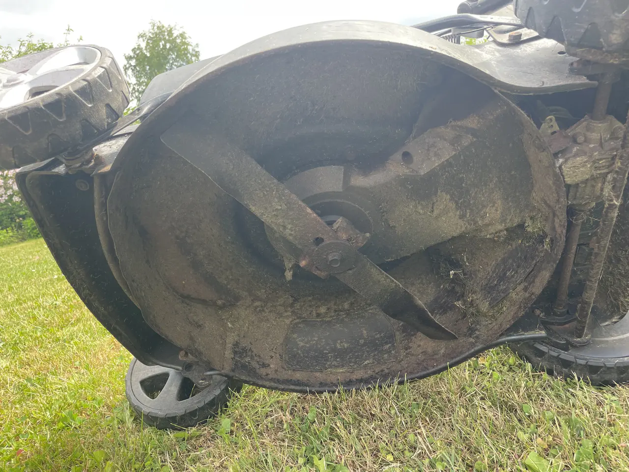 Billede 7 - Texas motorplæneklipper