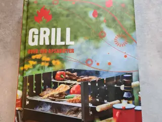 Grill over 100 opskrifter