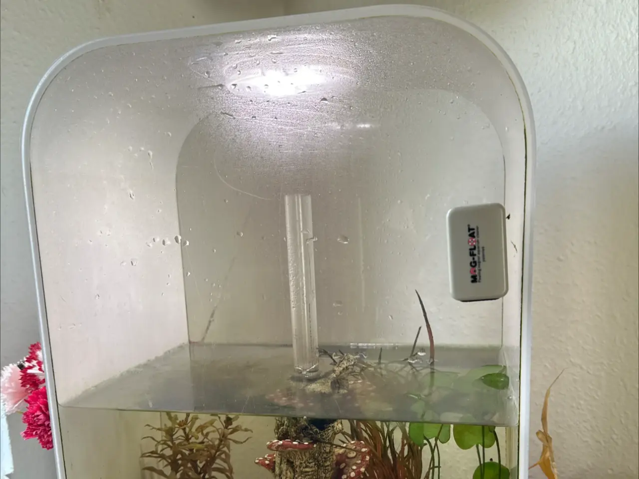 Billede 2 - BiOrb akvarium 60 L 
