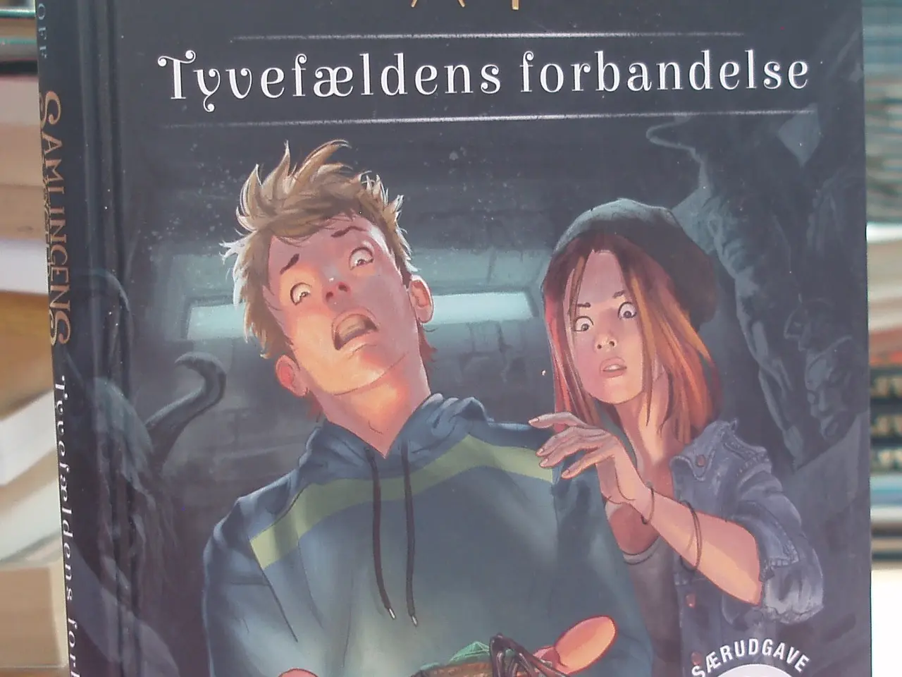 Billede 1 - Samlingens Vogtere 1; Tyvefældens forbandelse