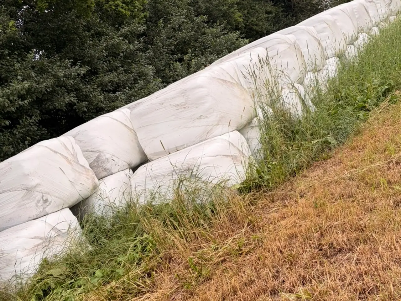 Billede 1 - Wrap til kvæg