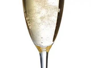 48 stk. champagneglas ARCOROC Princesa Flute (t) 15cl - 5 1/4oz