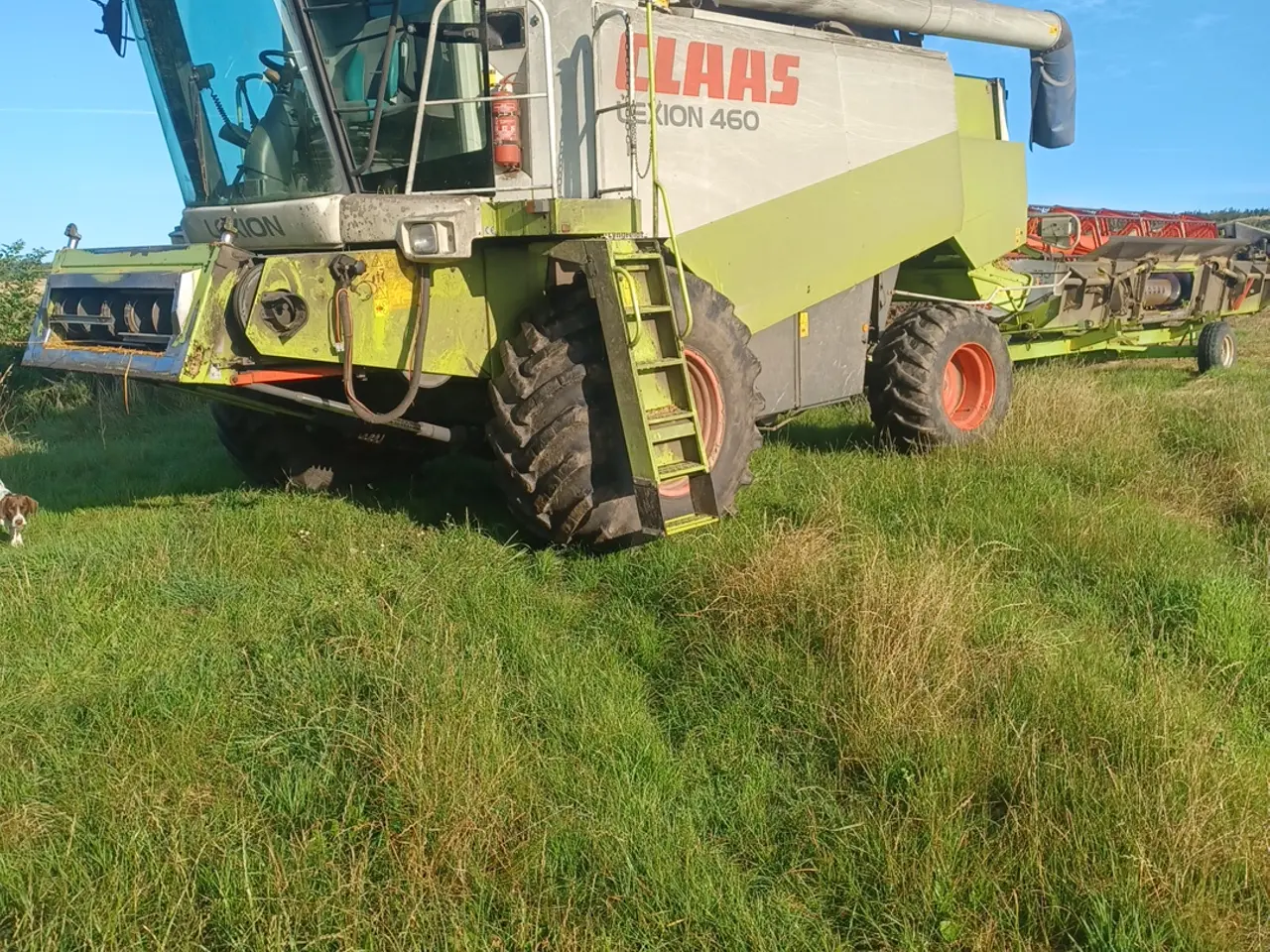 Billede 3 - Claas lexion 460
