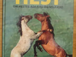 En hest er en hest, om hestes adfærd og velfærd