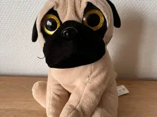 Bamse: Hund med store øjne