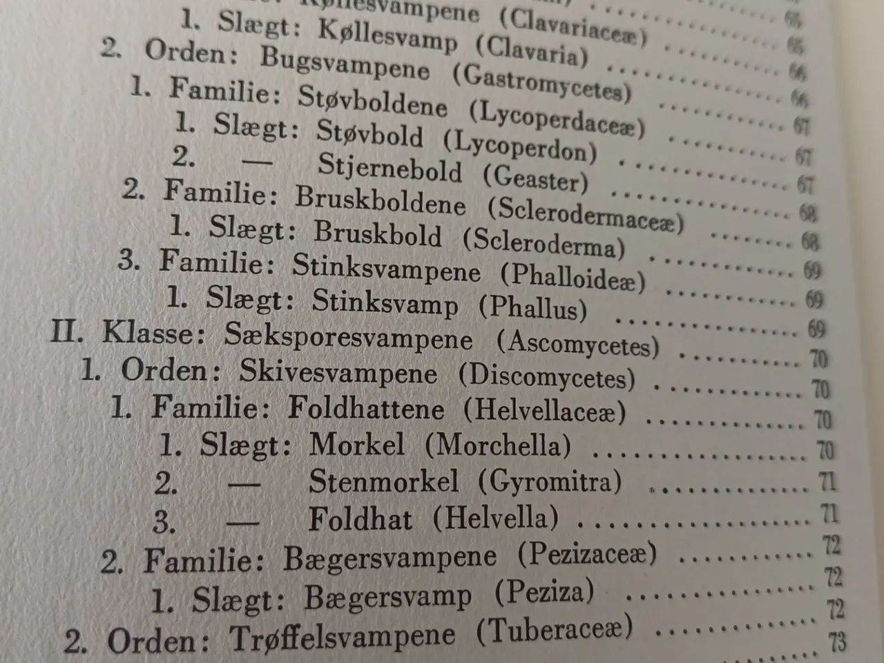 Billede 5 - Danmarks spiselige Svampe af C. Mundt