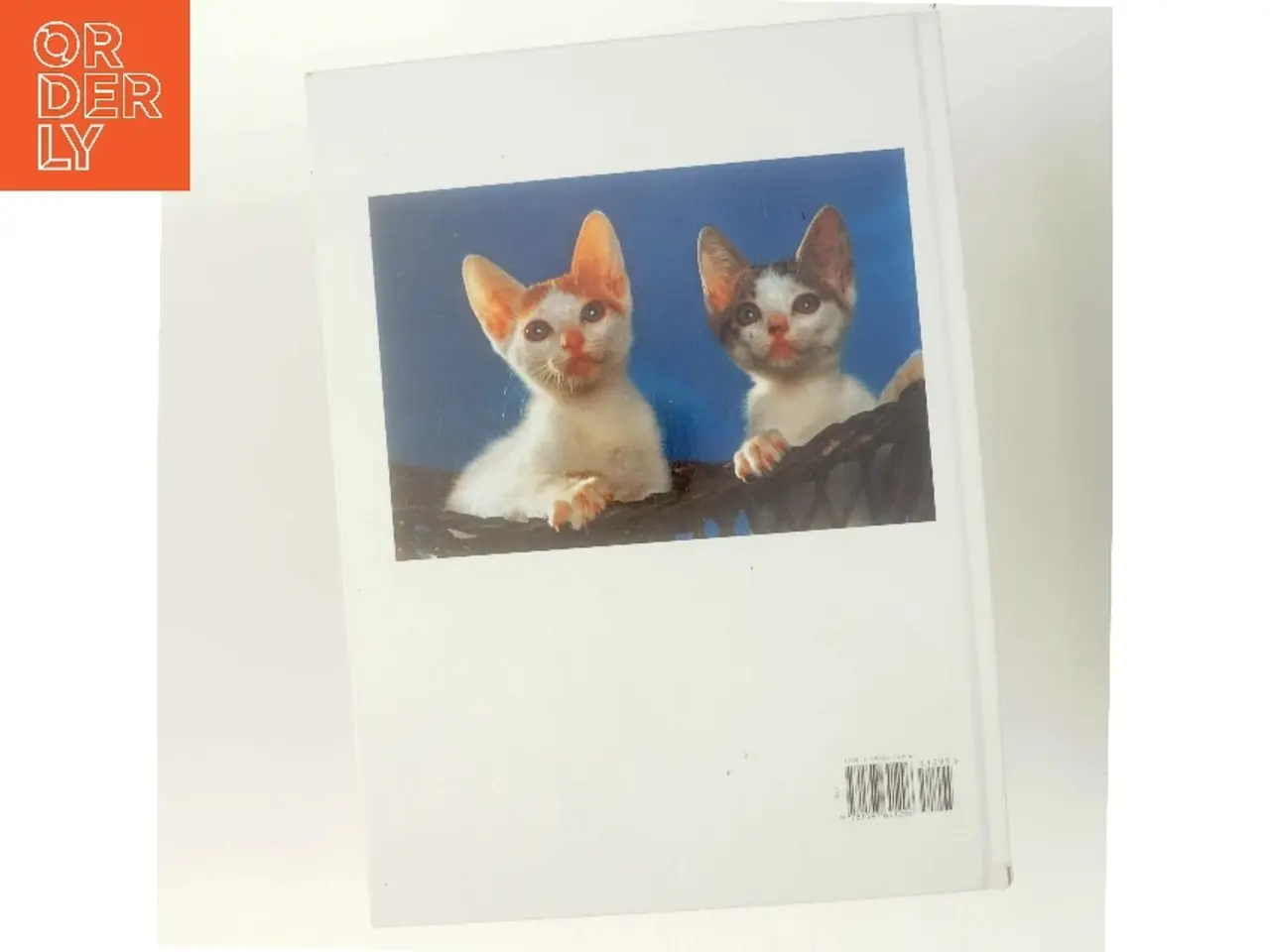 Billede 3 - Kittens af Marcus Schneck (Bog)