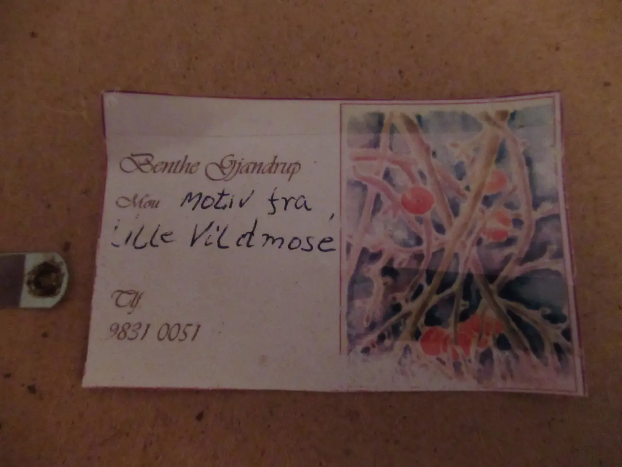 Billede 2 - Billede fra Lille Vildmose