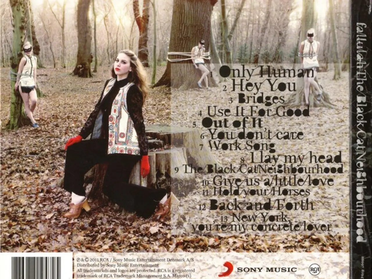 Billede 2 - Fallulah – The Black Cat Neighbourhood – CD