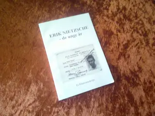 Erik Nietzsche - de unge år