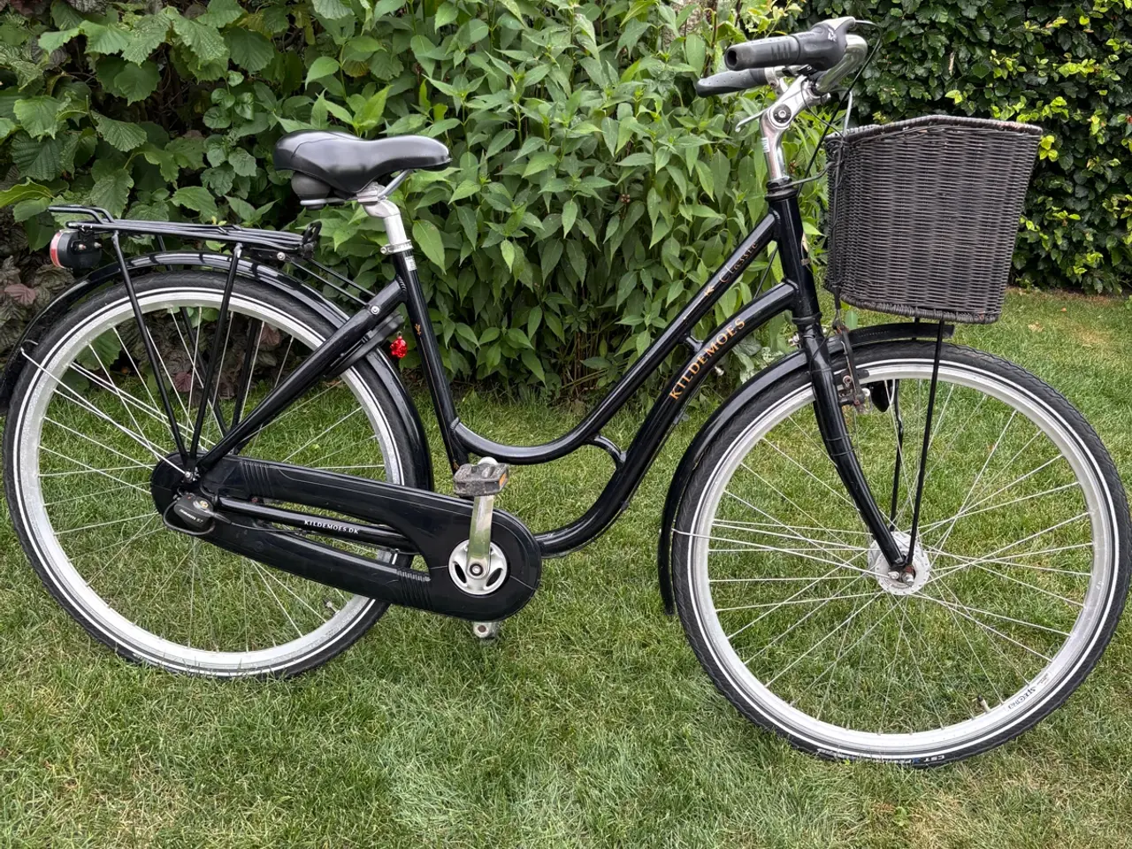 Billede 1 - Velkørende Kildemoes damecykel
