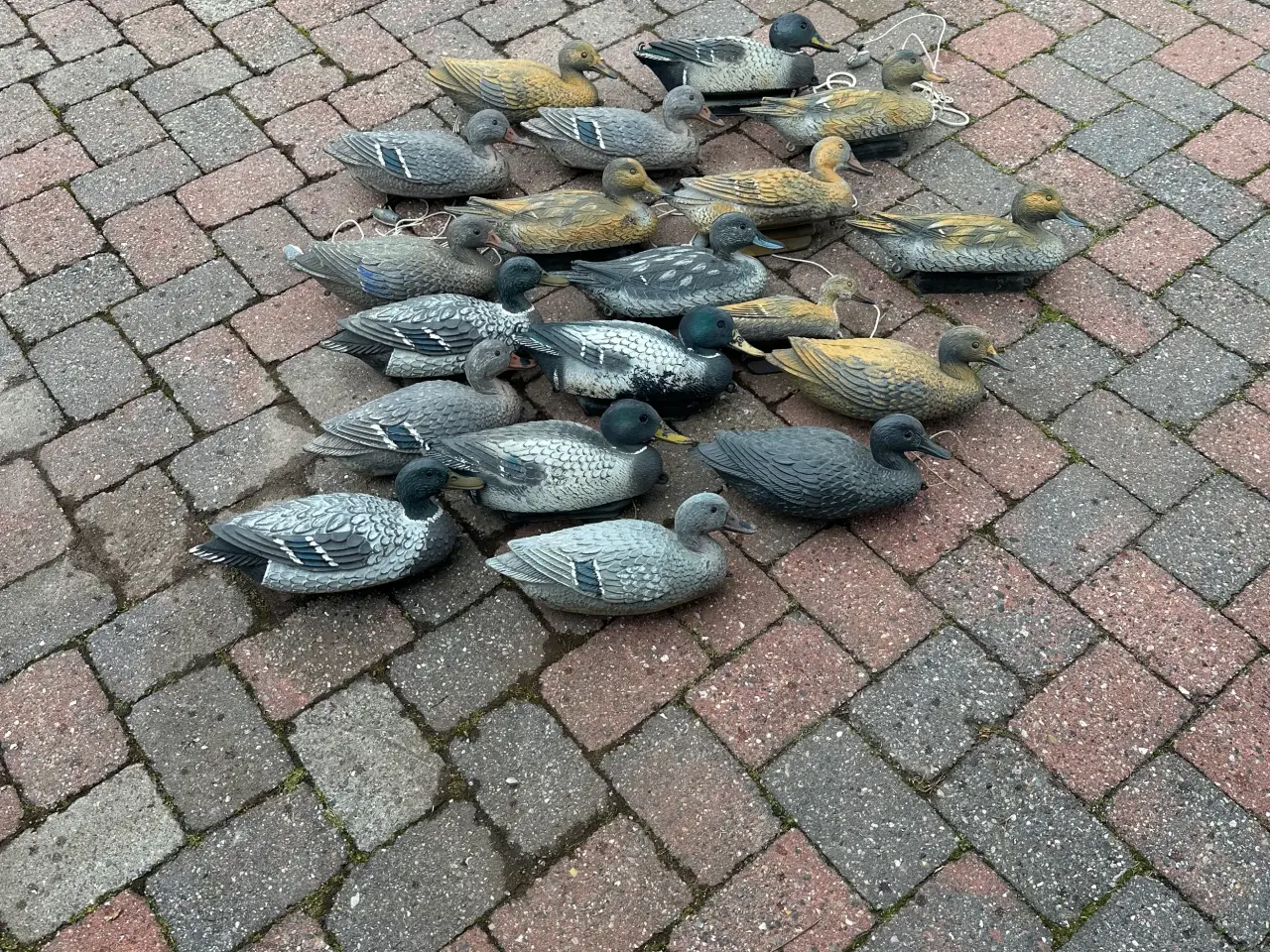 Billede 1 - Lokkeænder til jagt
