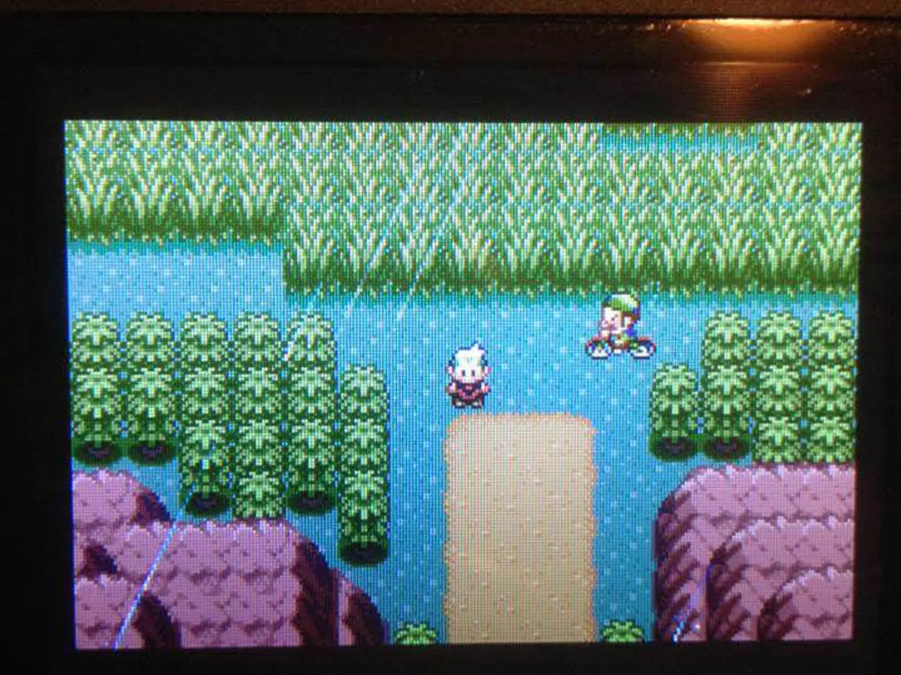 Billede 6 - Pokémon Sapphire Version