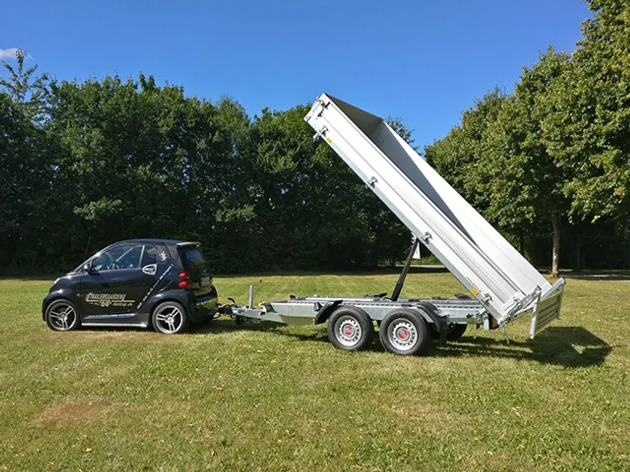 Billede 1 - STEMA TRIUS 353618