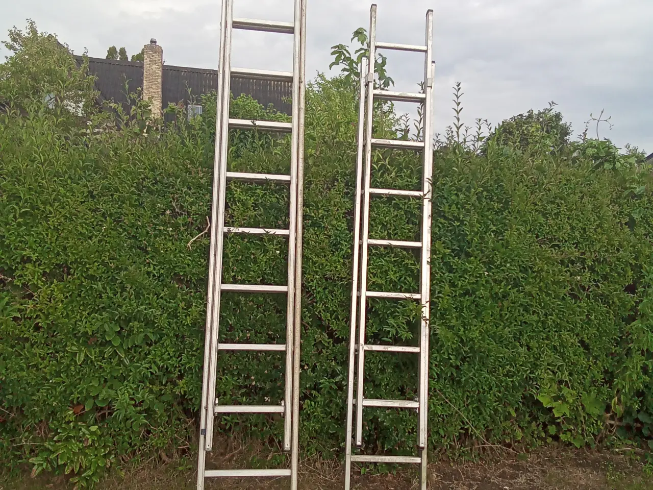 Billede 1 - Alu stiger 5 & 6 meter