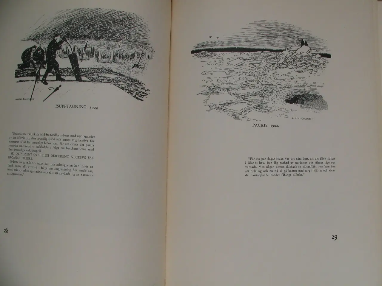 Billede 4 - Albert Engström. Svensk Natur