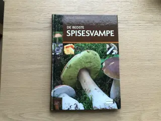 De Bedste SPISESVAMPE af Michael Krikorev
