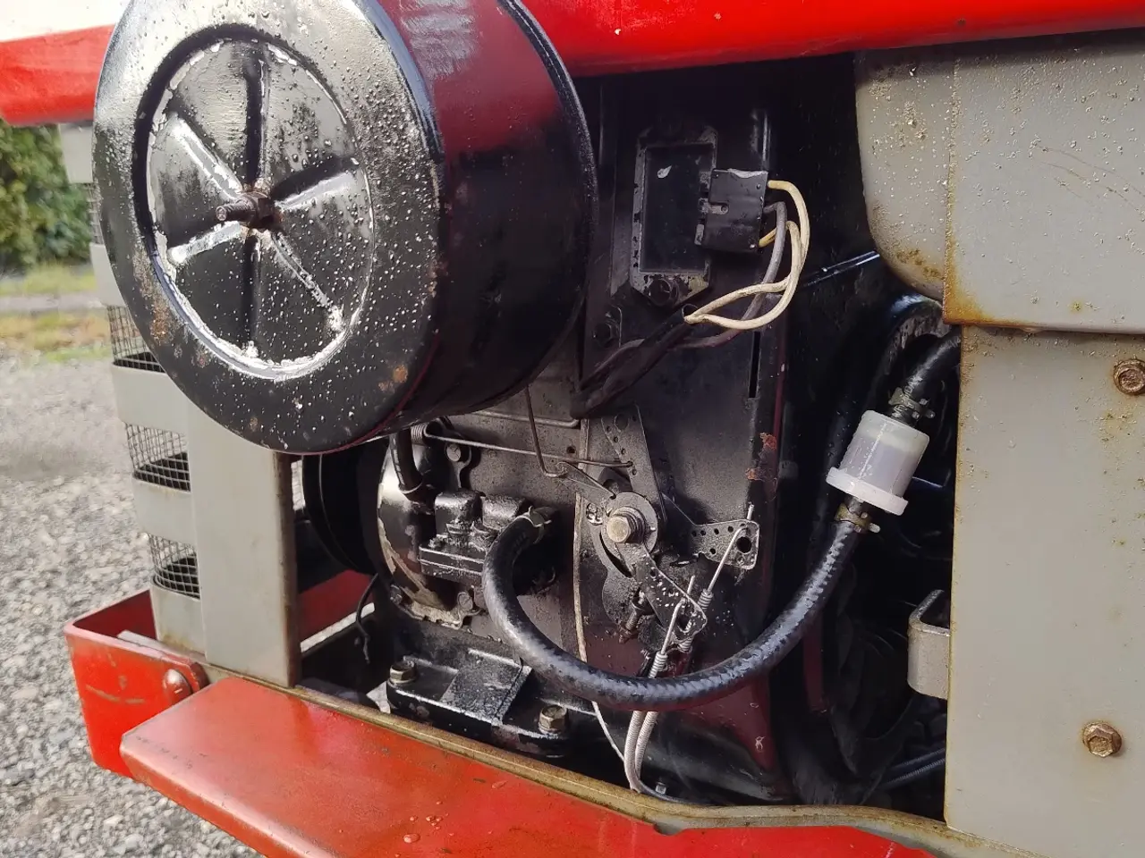 Billede 11 - Massey Ferguson 16 havetraktor 