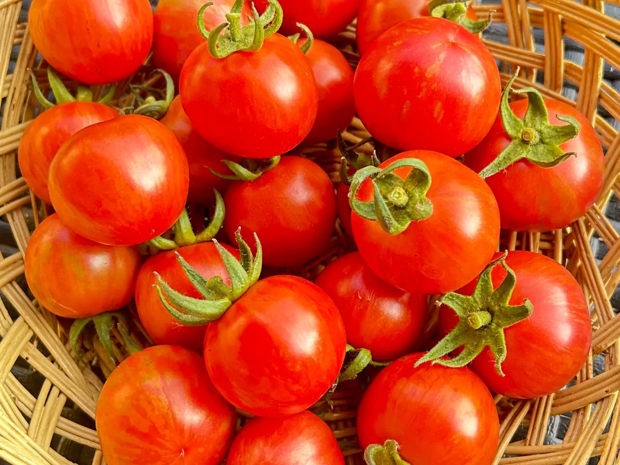 Billede 22 - Sunde frø af STORE tomater 🍅
