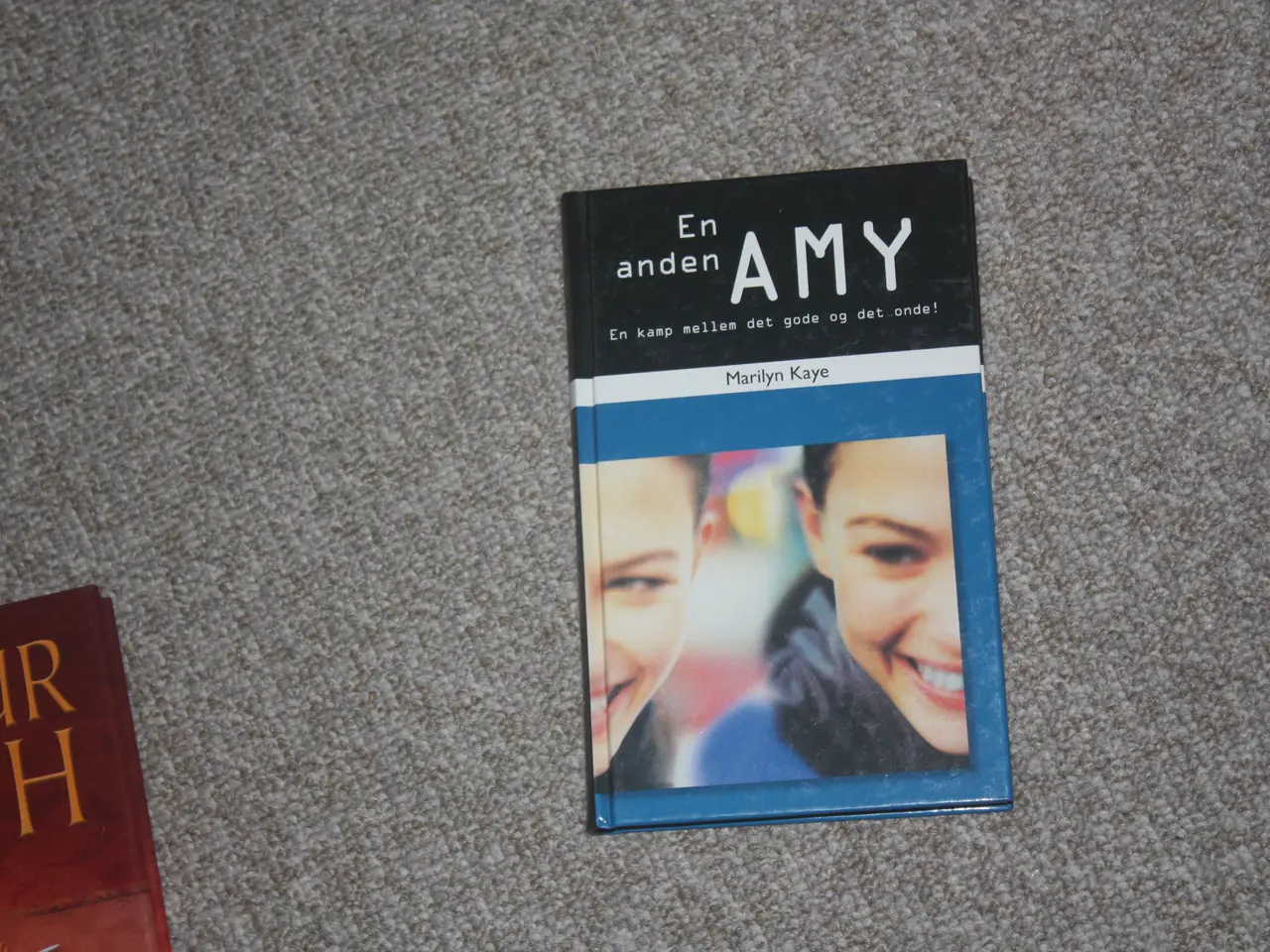 Billede 1 - En anden Amy af Marilyn Kaye