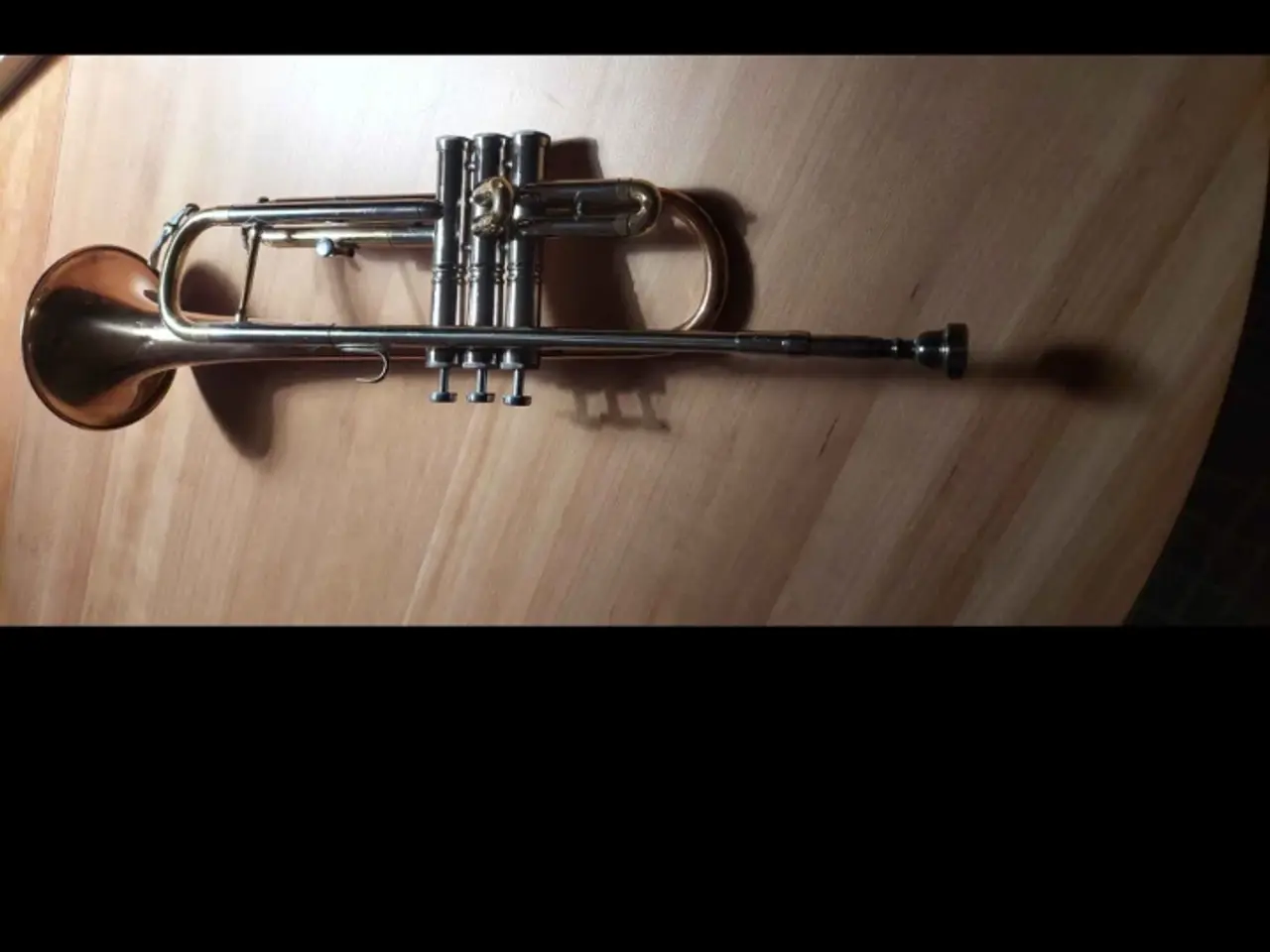 Billede 4 - Parrot trumpet 🎺