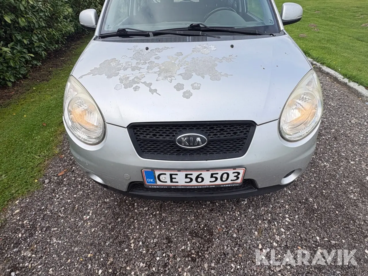 Billede 8 - Personbil Kia Picanto