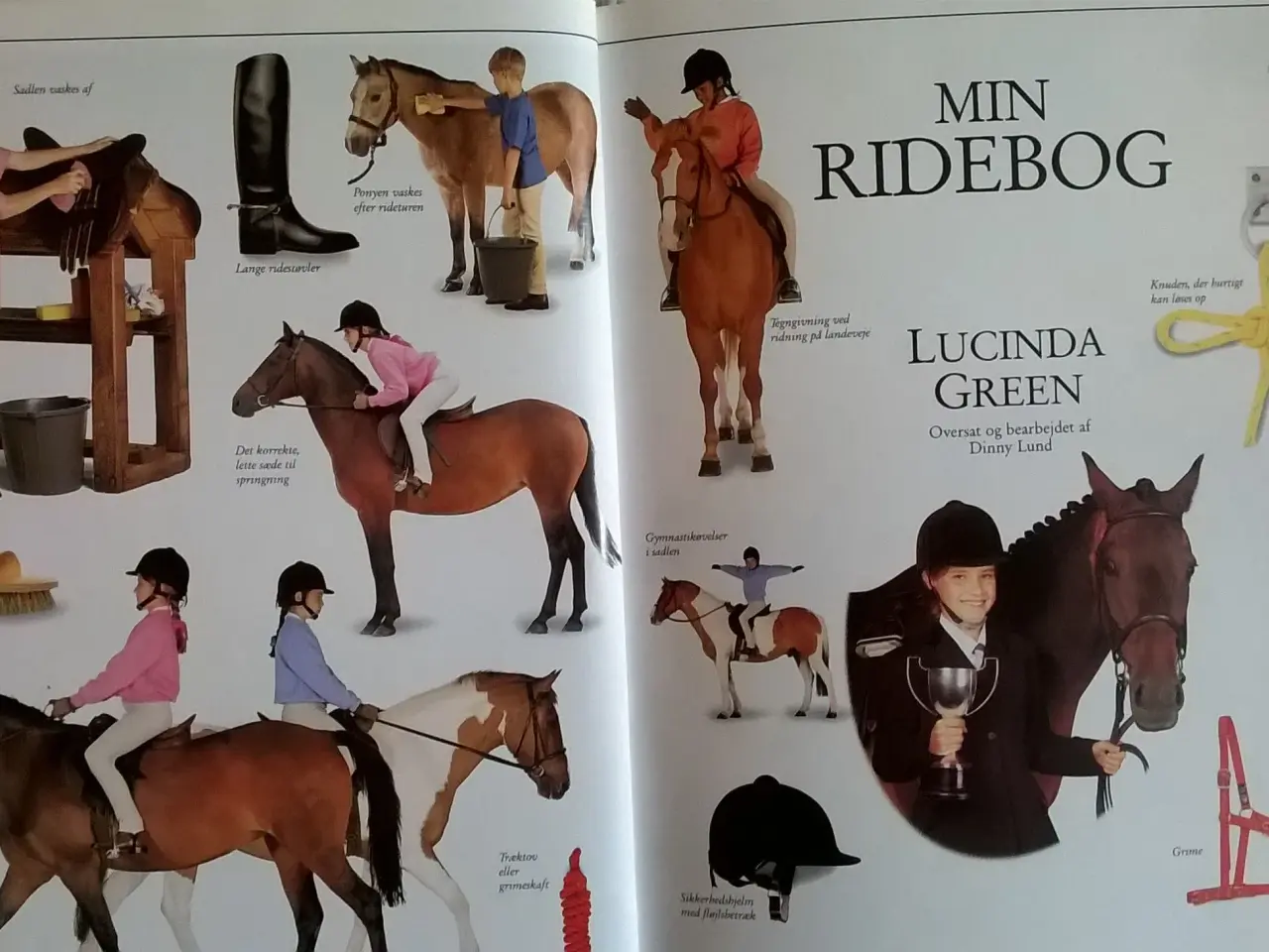 Billede 4 - Min Ridebog af Lucinda Green