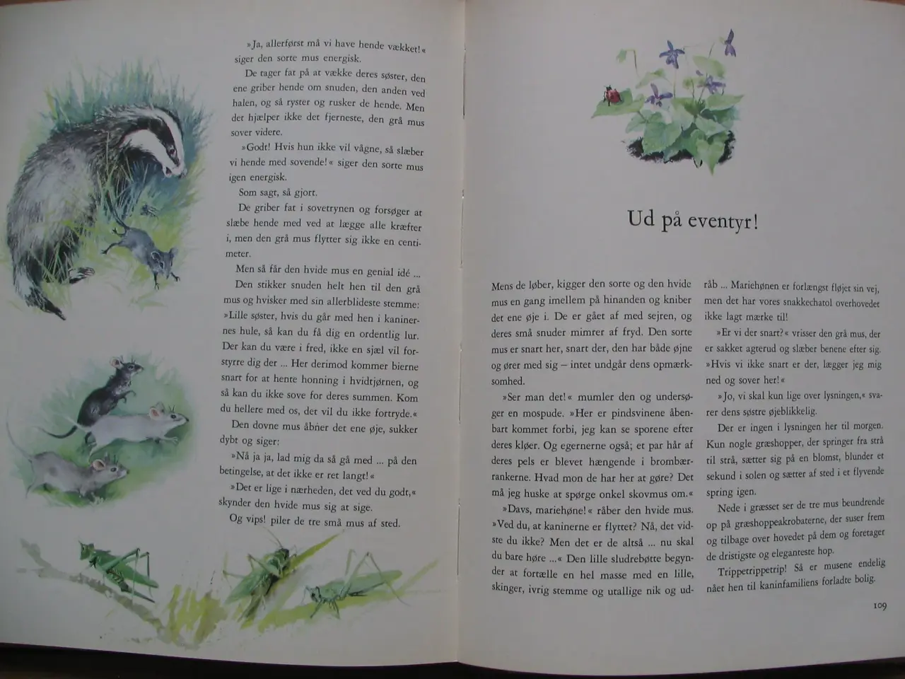 Billede 6 - Dyrene i den lille skov