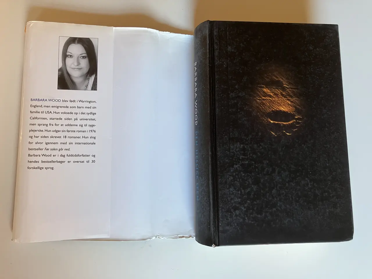 Billede 3 - Den hellige sten. Af Barbara Wood