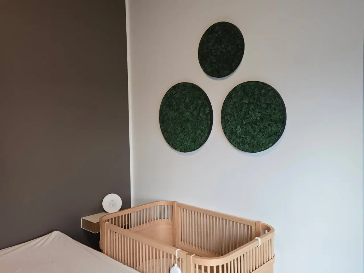 Billede 4 - Mos billeder med ægte mos fra Norge