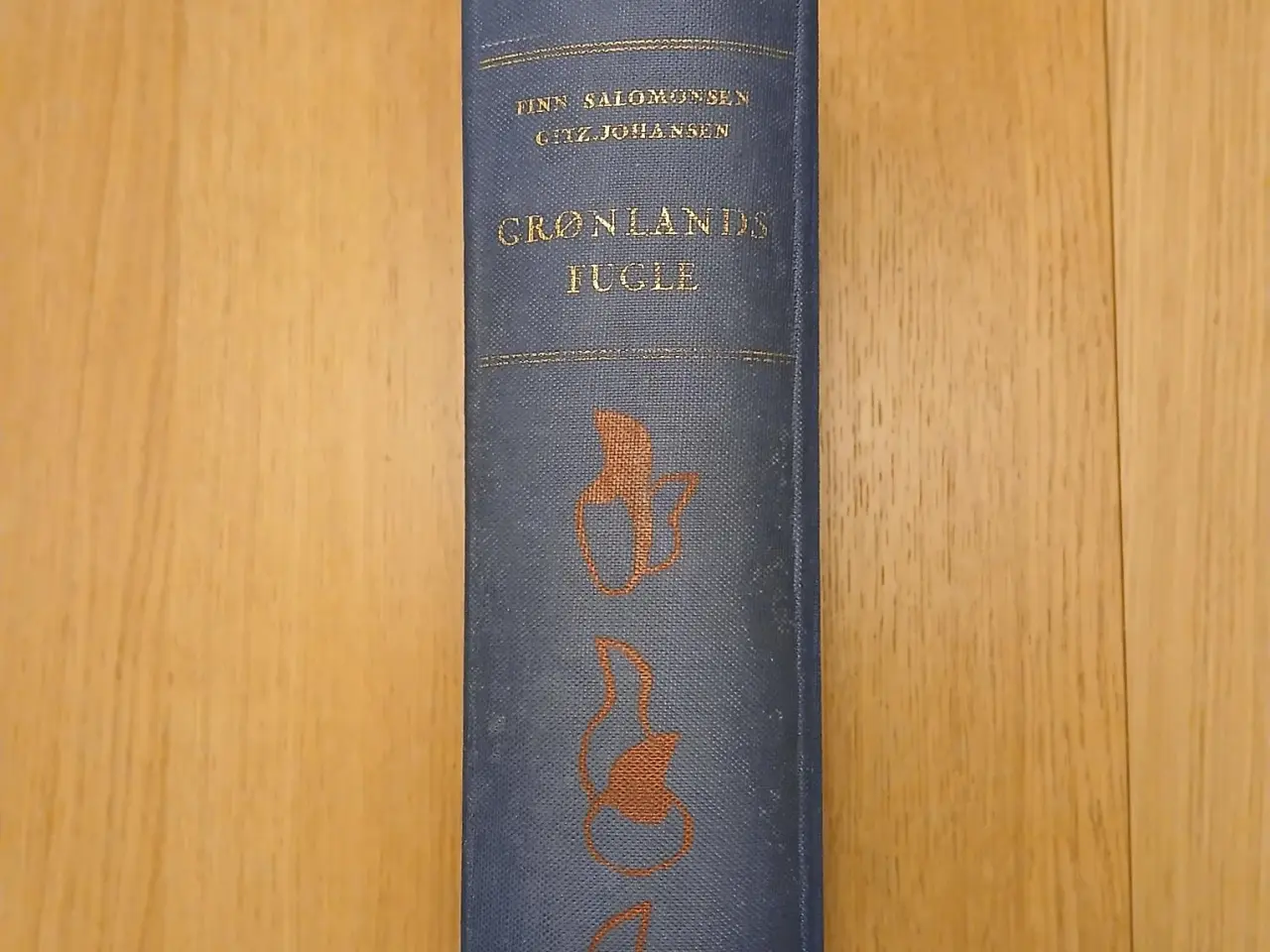 Billede 9 - Finn Salomonsen: Grønlands fugle