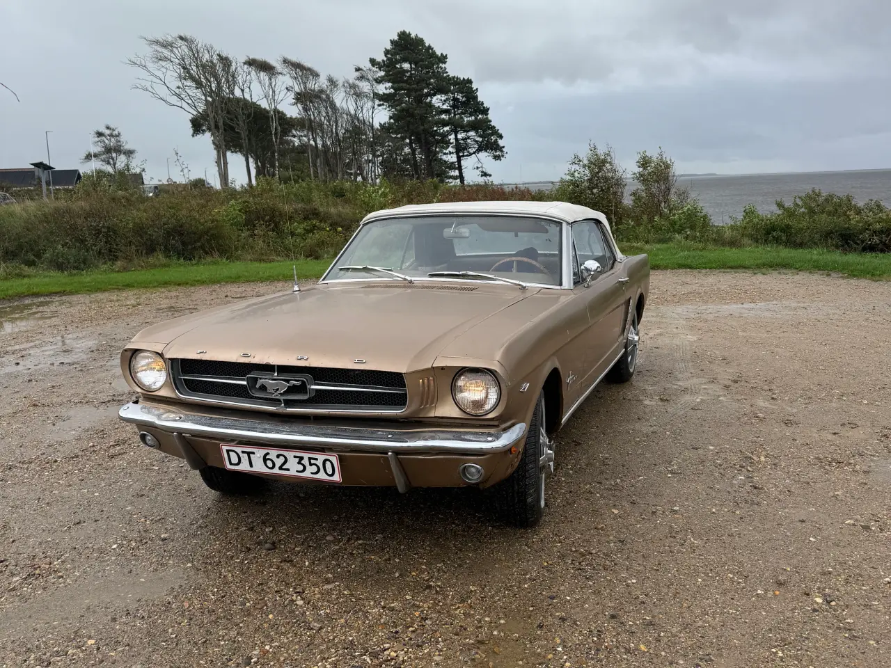 Billede 1 - Ford Mustang V8 Convertible – årgang 1964½