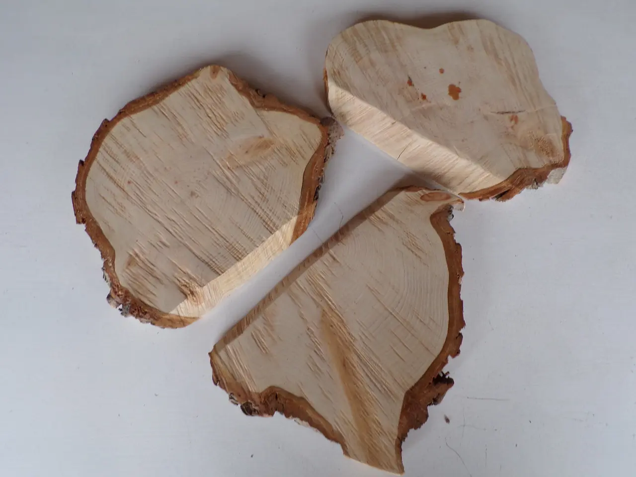 Billede 1 - 3 Thuja træskiver