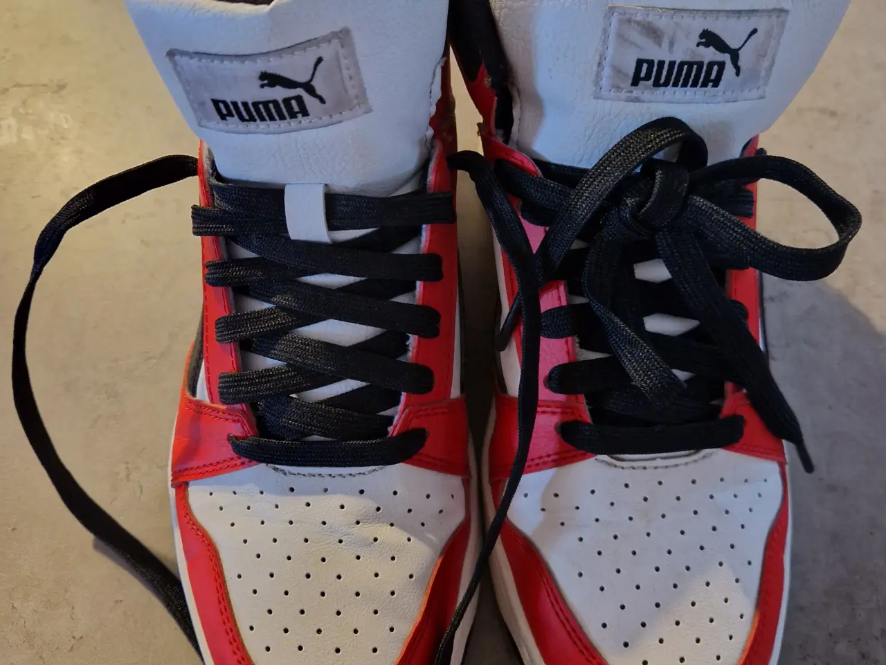 Billede 1 - Puma