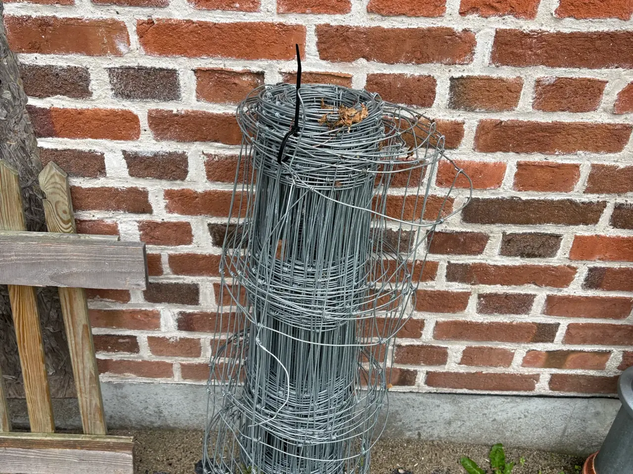 Billede 1 - Vildthegn 80 cm 45 meter