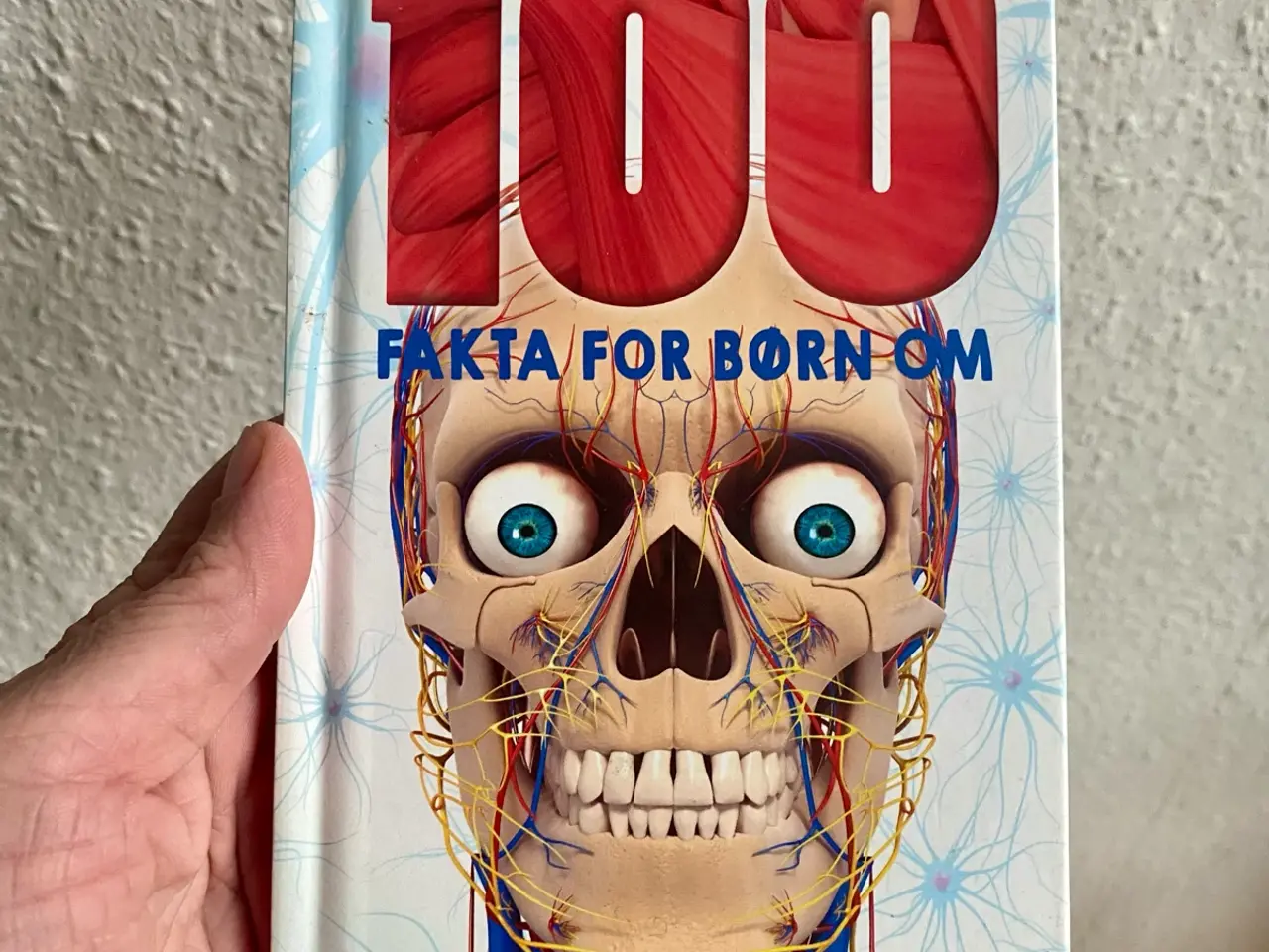 Billede 1 - Over 100 fakta for børn om kroppen. Børnebog