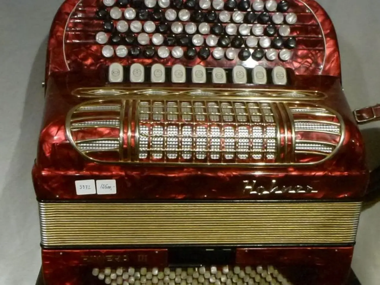 Billede 1 - Hohner Riviera 3