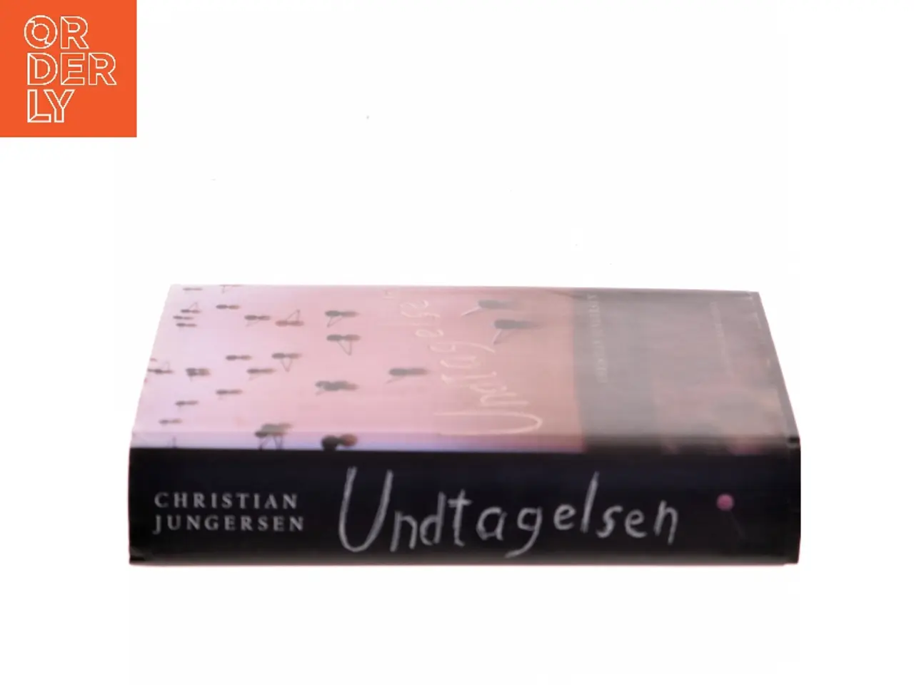 Billede 2 - Undtagelsen : roman af Christian Jungersen (Bog)