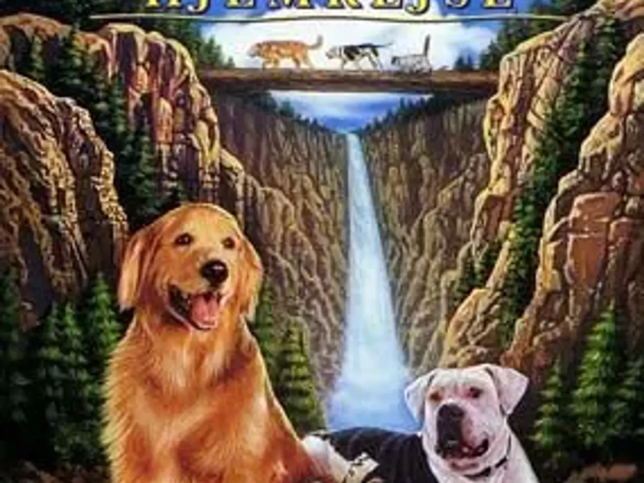 Billede 1 - DISNEY ; Den fantastiske rejse del 1 & 2