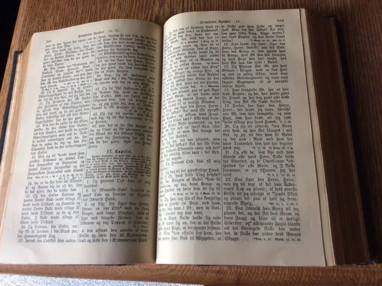 Billede 5 - Læderindbunden bibel