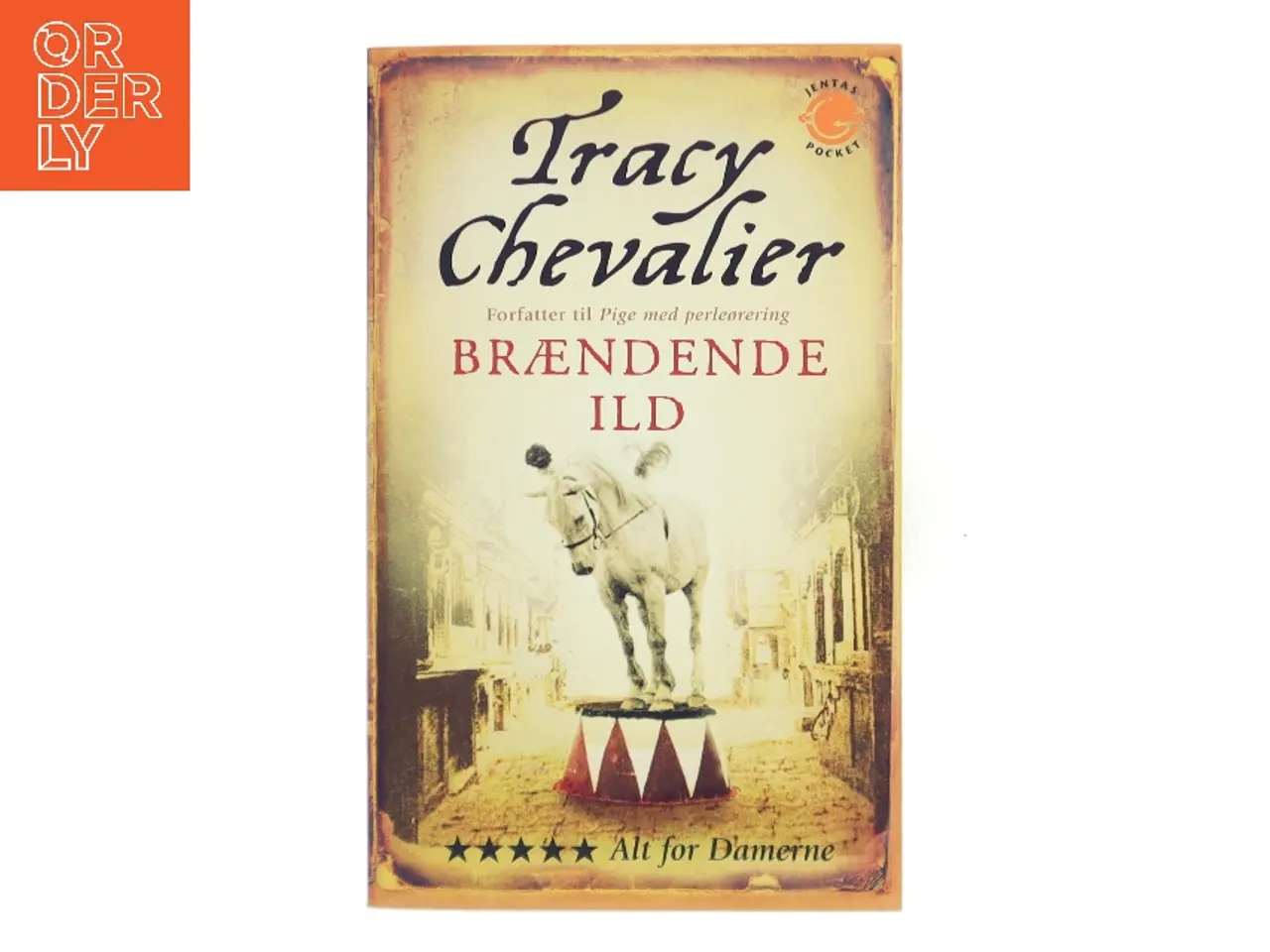 Billede 1 - Brændende ild : roman af Tracy Chevalier (Bog)