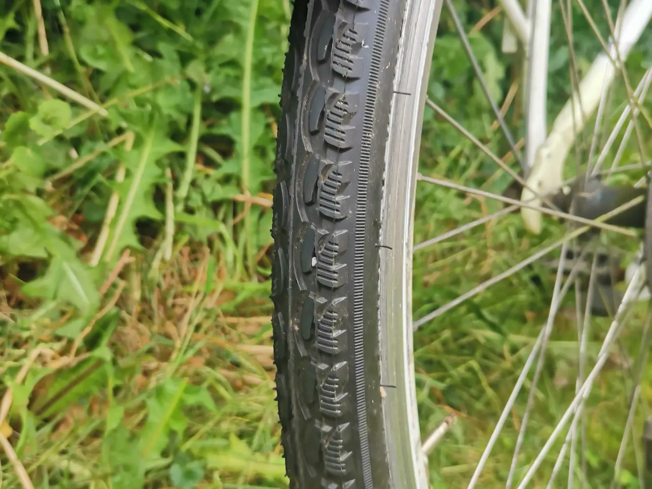 Billede 8 - Cykel til en kærlig hånd 🌸