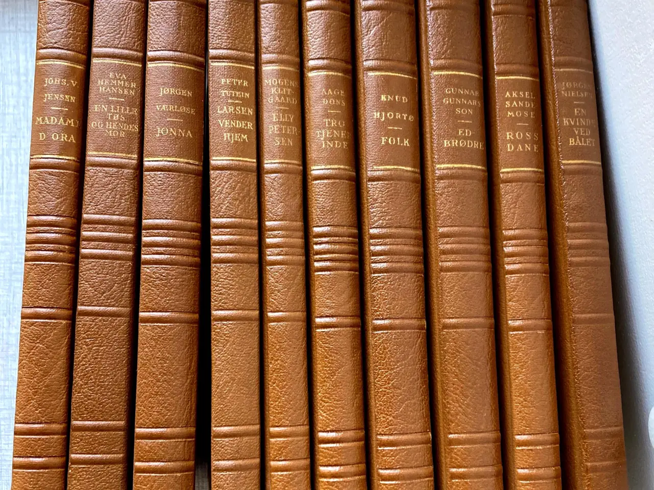 Billede 2 - Indbundne danske klassikere