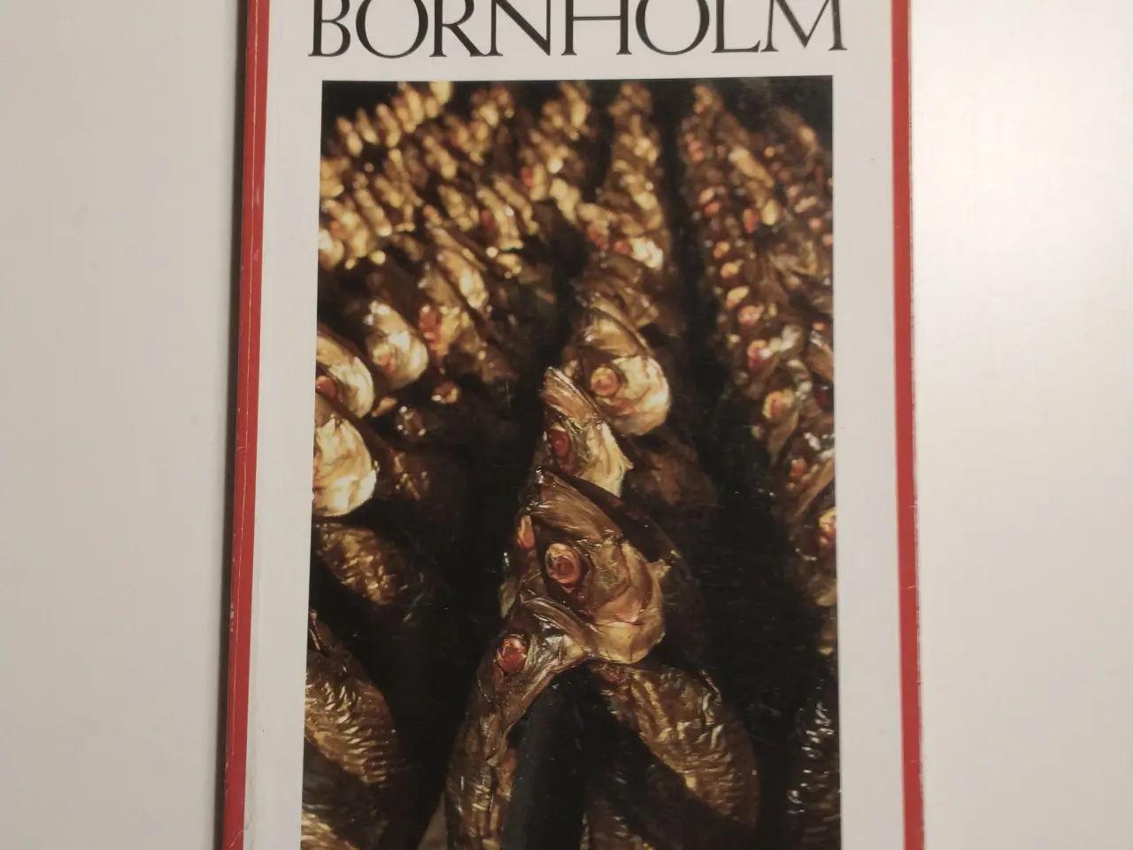 Billede 1 - Politikens Turen går til Bornholm